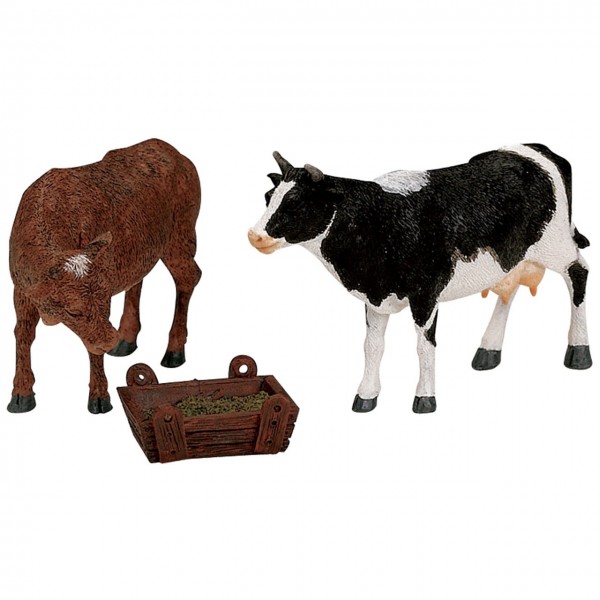 Kuh und Bulle am Trog
