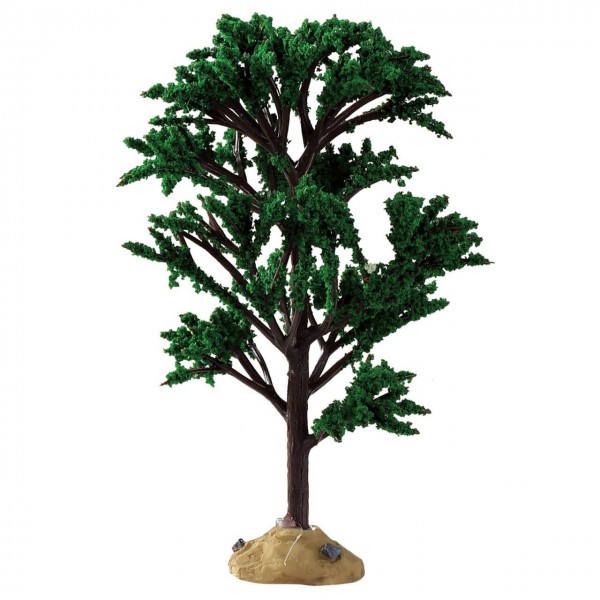 Green Elm Tree