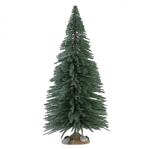 Spruce Tree, grand