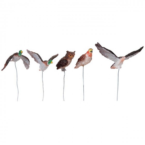 5 Assorted Birds
