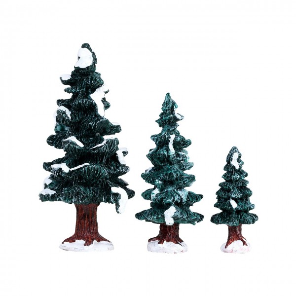 3 Christmas Evergreen Trees